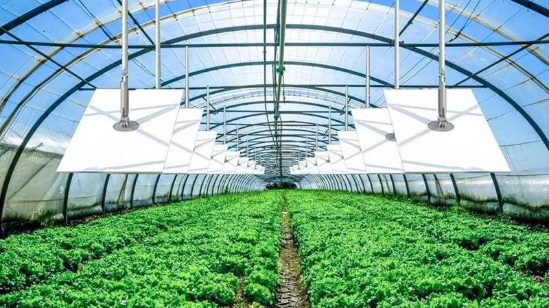 石墨烯采暖在种植大棚的应用.jpg 石墨烯采暖在种植大棚的应用.jpg